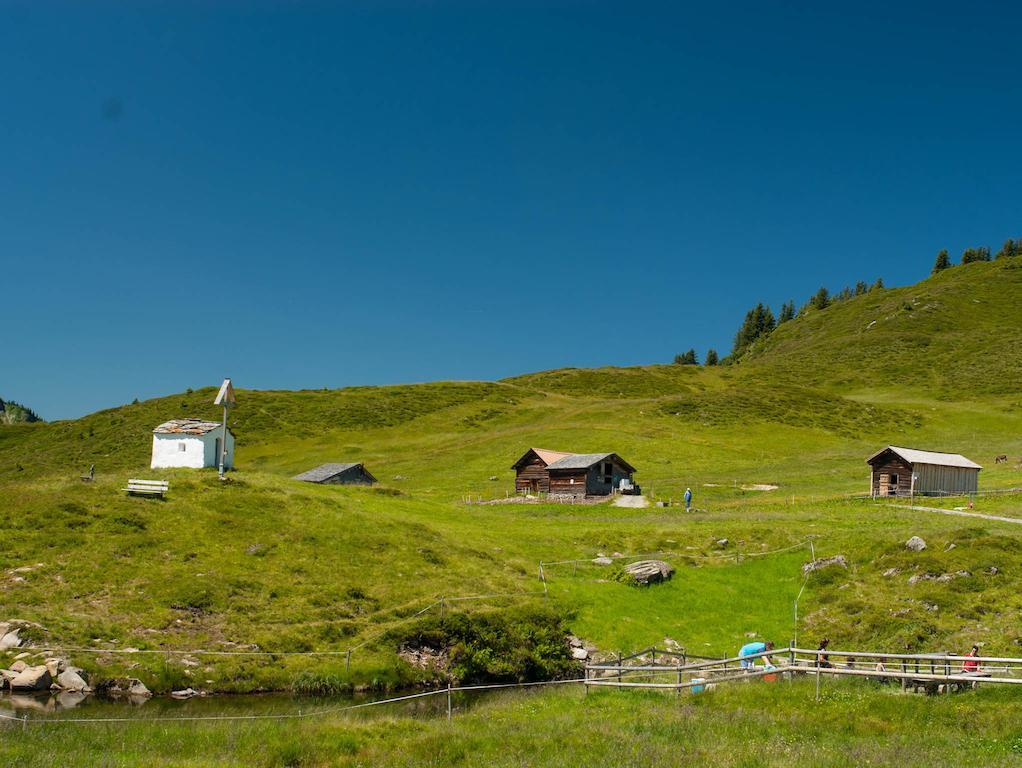 Отель Haus Furka Дамульс Экстерьер фото